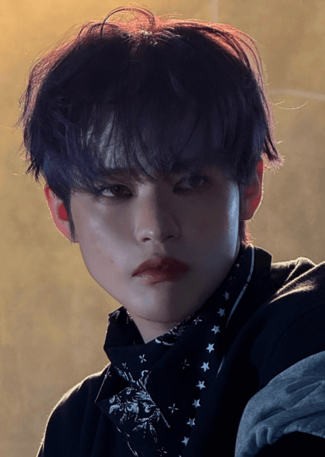 Chenle NCT DREAM profile pic