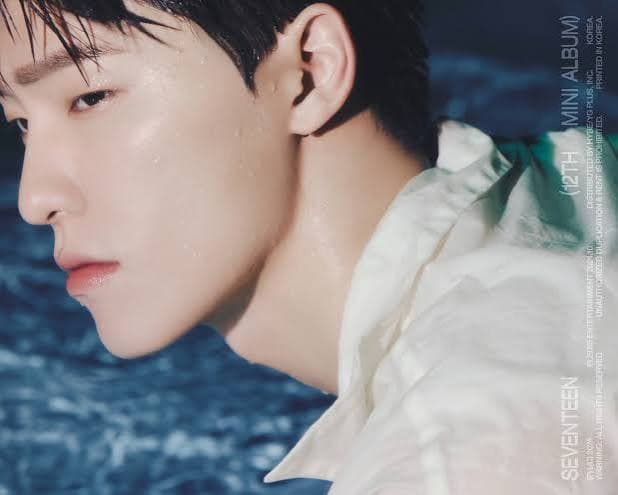 dino seventeen profile pic