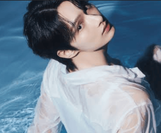 Jun seventeen profile pic