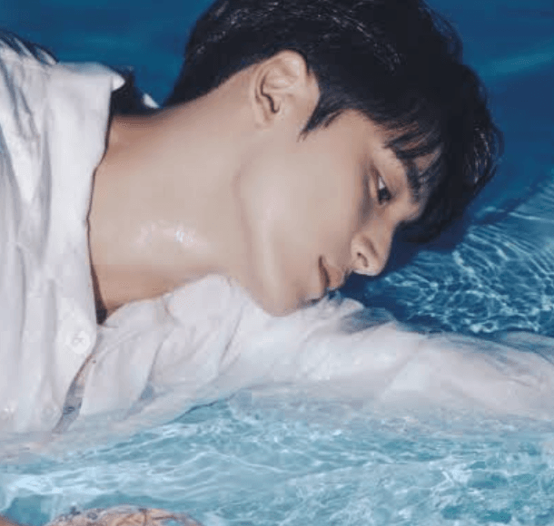 Mingyu Seventeen profile pic