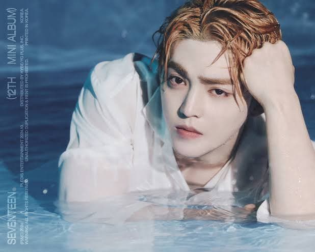 s.coups seventeen profile pic