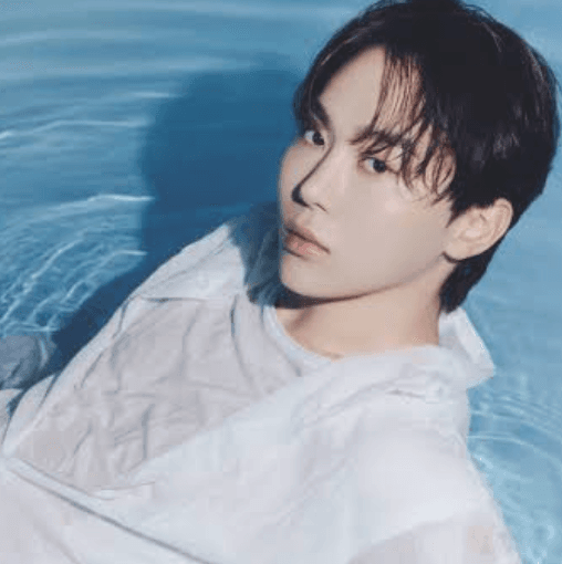 Seungkwan Seventeen profile pic