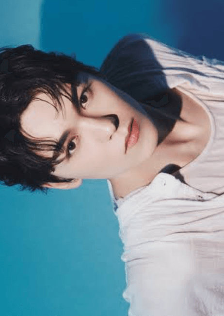 Vernon seventeen profile pic