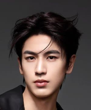 Zhang Ling He profile pic